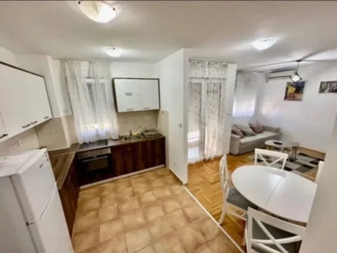 Izdavanje, jednosoban stan, 45m², Zagorič, Podgorica