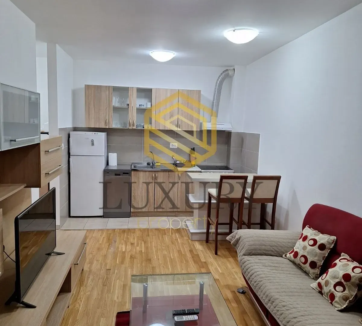 Rent, one bedroom apartment, 42m², Zagorič, Podgorica