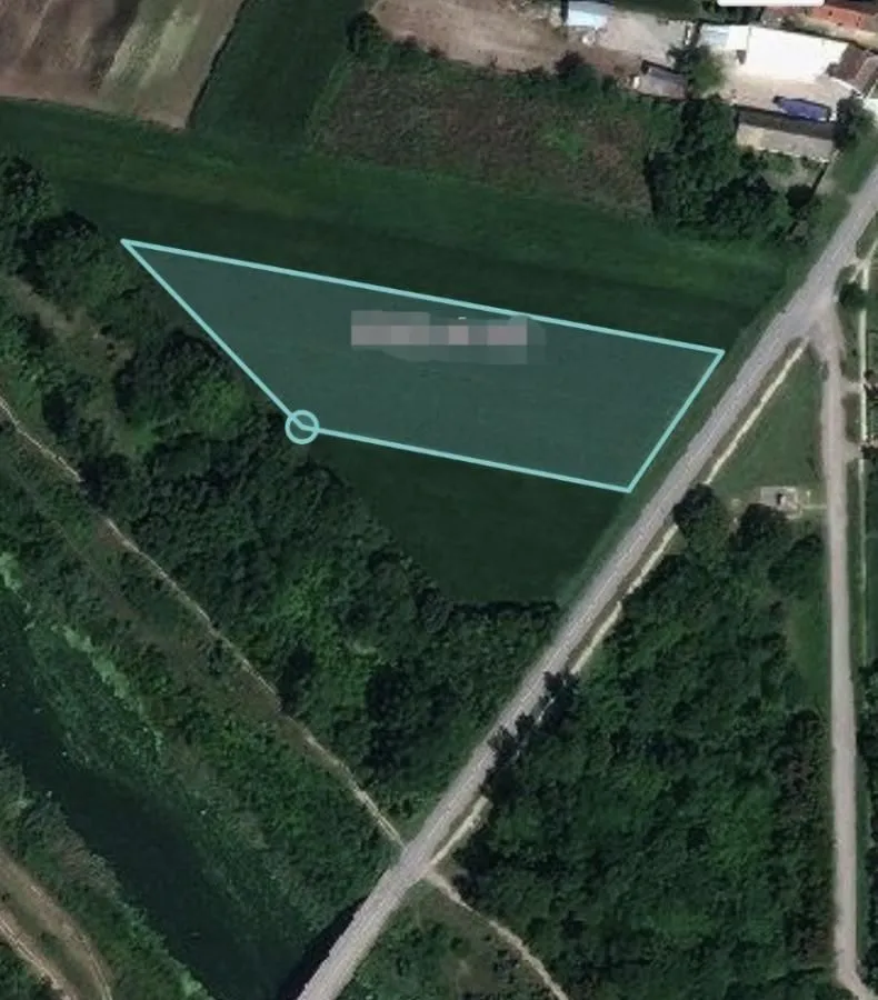 Sale, land lot, 5000m², Bački Petrovac, Novi Sad