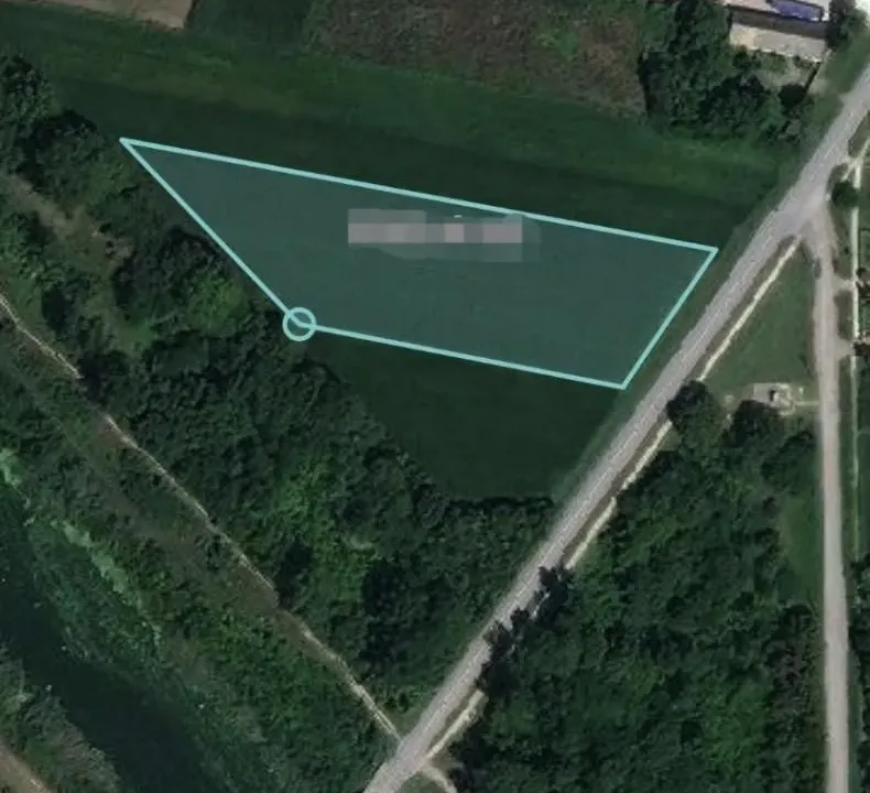 Prodaja, plac, 5000m², Bački Petrovac, Novi Sad