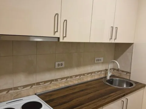 Izdavanje, jednosoban stan, 42m², Preko Morače, Podgorica - image 3