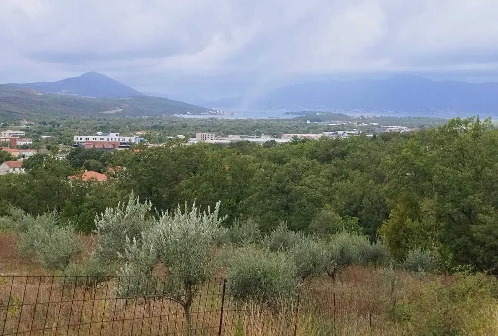 Prodaja, plac, 1500m², Kotor, Crna Gora