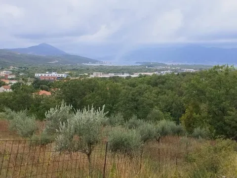 Prodaja, plac, 1500m², Kotor, Crna Gora - image 4