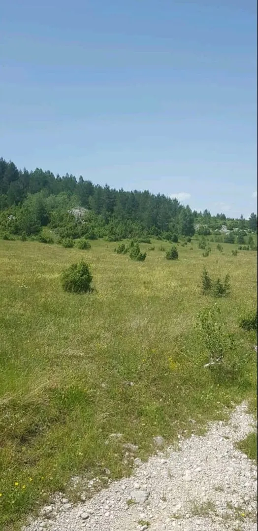Prodaja, plac, 28400m², Žabljak, Crna Gora