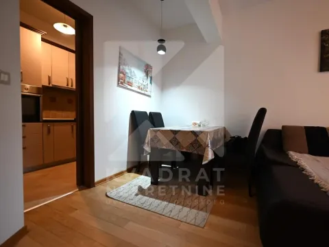 Izdavanje, jednosoban stan, 49m², 1 maj, Podgorica - image 4