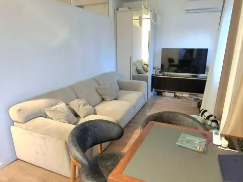 Sale, one bedroom apartment, 44m², Novi Beograd Blok 61, Novi Beograd Sve Podlokacije - image 3