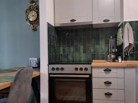 Izdavanje, jednosoban stan, 50m², Podbara, Novi Sad Sve Podlokacije - image 2