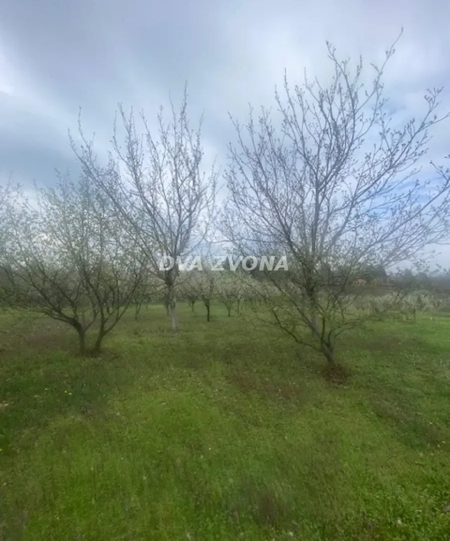Prodaja, kuća, 93m², Čortanovci, Inđija