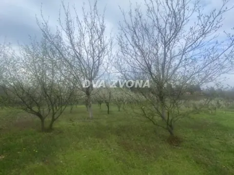 Prodaja, kuća, 93m², Čortanovci, Inđija - image 2