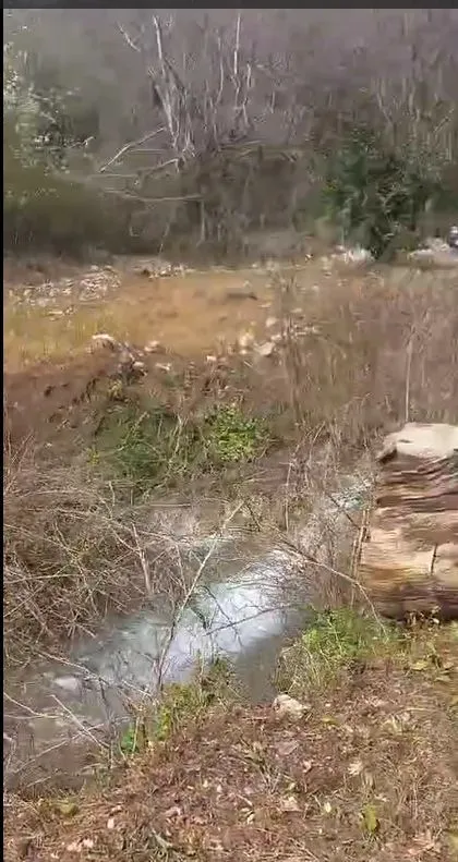 Zemljište sa prirodnim potokom okruženo drvećem.