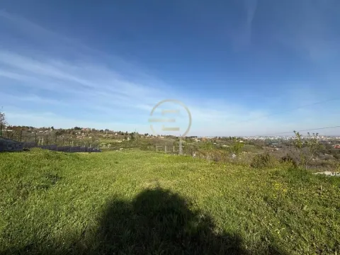 Prodaja, plac, 22000m², Sremska Kamenica, Petrovaradin - image 4