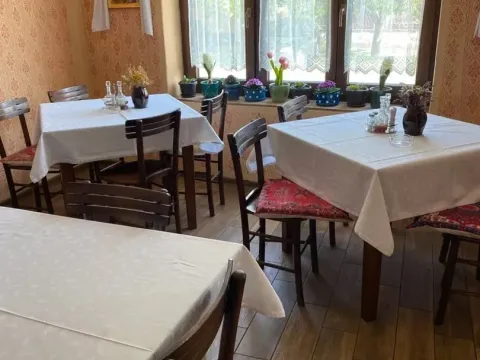 Prodaja, ugostiteljski objekat, 176m², Ruma, Srbija - image 5