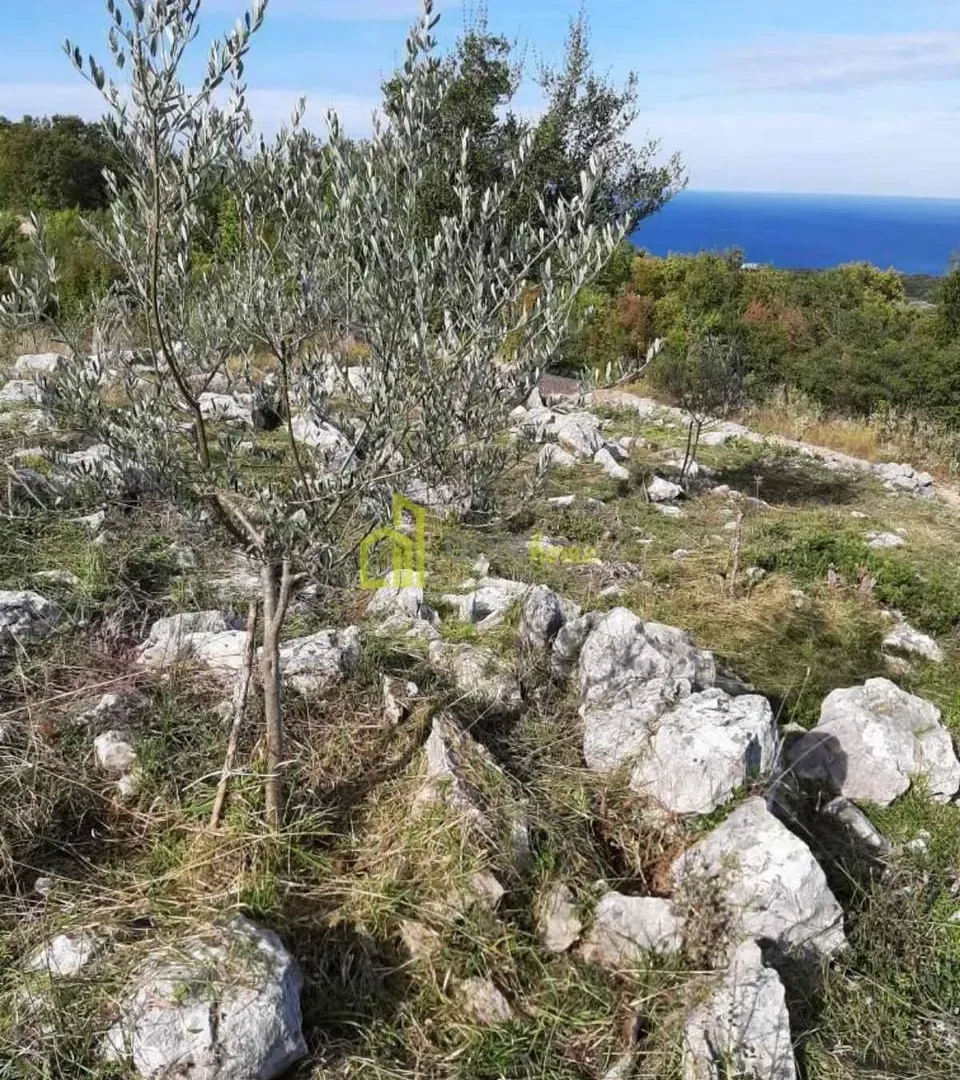Prodaja, plac, 29510m², Kunje, Bar