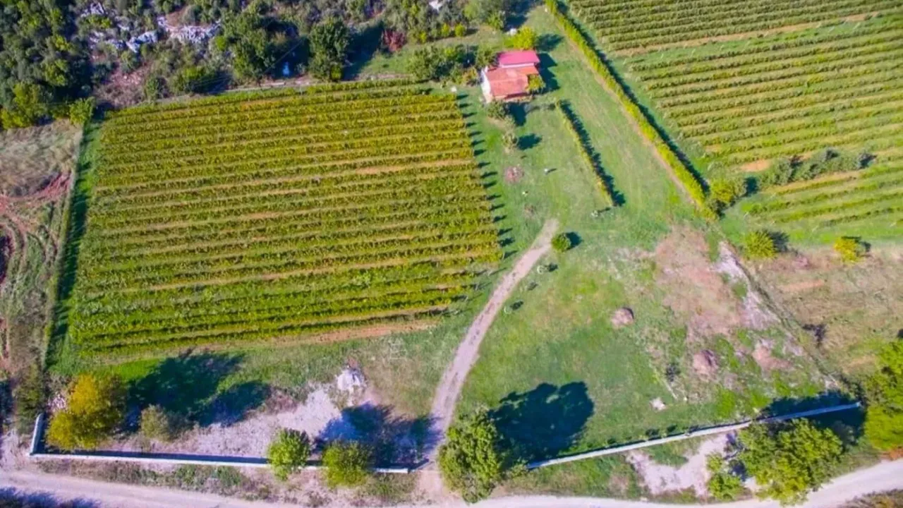 Prodaja, plac, 13000m², Beri, Podgorica