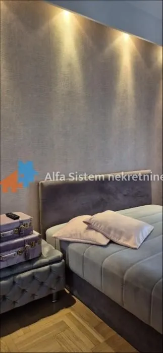 Izdavanje, dvosoban stan, 54m², Vračar Sve Podlokacije, Beograd