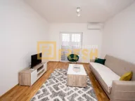 Izdavanje, jednosoban stan, 45m², Tuški Put, Podgorica - image 2