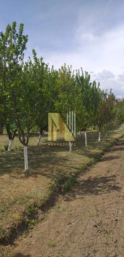 Prodaja, kuća, 65m², Čortanovci, Inđija