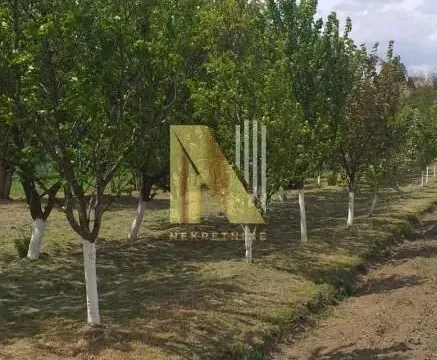 Prodaja, kuća, 65m², Čortanovci, Inđija - image 9