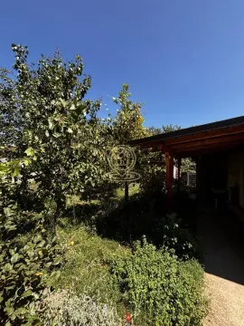 Green yard with trees and a canopy next to the house. - image 28