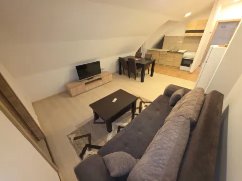 Izdavanje, jednosoban stan, 52m², Zabjelo, Podgorica - image 16