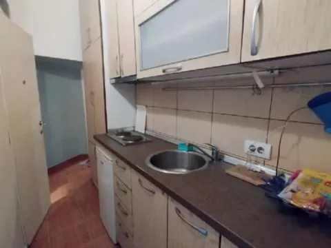 Izdavanje, jednosoban stan, 20m², Botanička Bašta, Palilula Sve Podlokacije - image 4