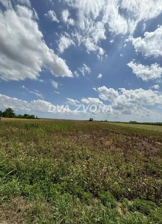 Prodaja, plac, 1000m², Čortanovci, Inđija