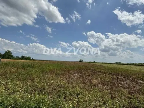 Prodaja, plac, 1000m², Čortanovci, Inđija - image 3