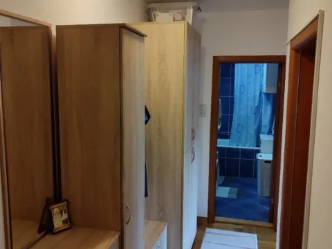 Prodaja, dvosoban stan, 45m², Detelinara, Novi Sad Sve Podlokacije - image 3