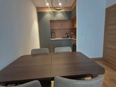 Izdavanje, jednosoban stan, 46m², New City, Podgorica - image 5