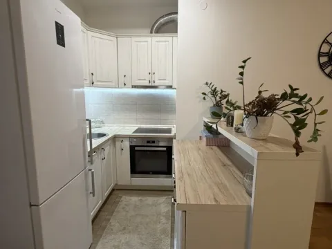 Rent, two bedroom apartment, 57m², Zabjelo, Podgorica - image 4