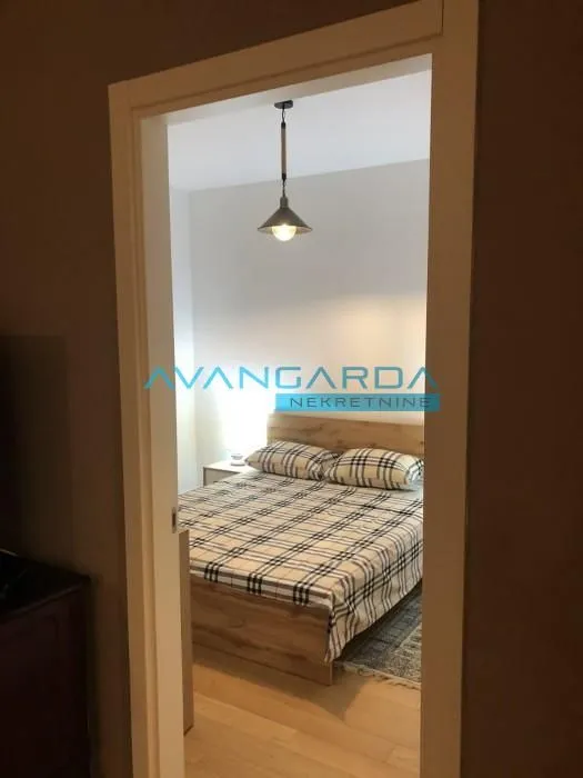 Izdavanje, stan, 46m², Dorćol Sve Podlokacije, Beograd