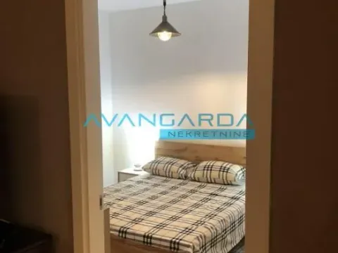 Izdavanje, stan, 46m², Dorćol Sve Podlokacije, Beograd - image 14