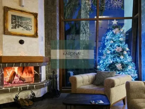 Prodaja, kuća, 400m², Sremska Kamenica, Petrovaradin - image 2