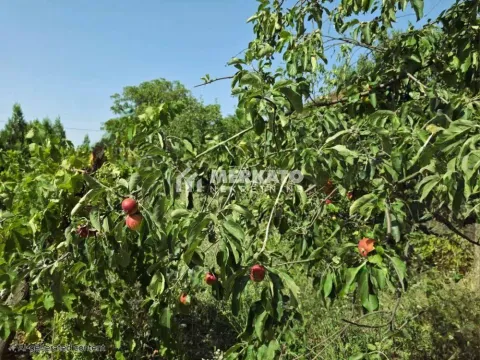 Sale, land lot, 3100m², Bagljaš, Zrenjanin - image 11