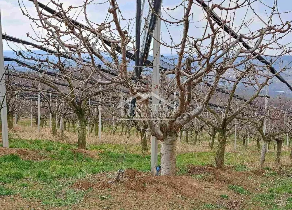 Prodaja, plac, Begaljica, Grocka