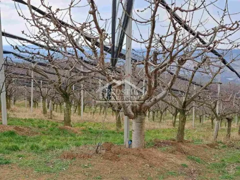 Zemljište in Begaljica