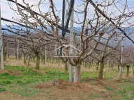 Prodaja, plac, Begaljica, Grocka - image 1