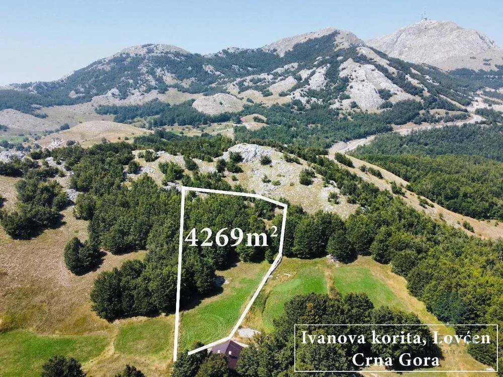 Prodaja, plac, 4269m², Ivanova Korita, Cetinje