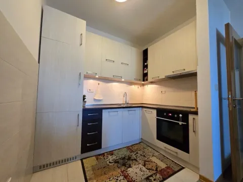 Izdavanje, jednosoban stan, 46m², Blok 6, Podgorica - image 10