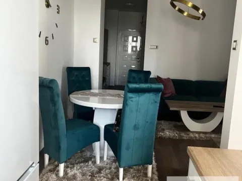 Izdavanje, dvosoban stan, 60m², Zemun Sve Podlokacije, Beograd - image 3