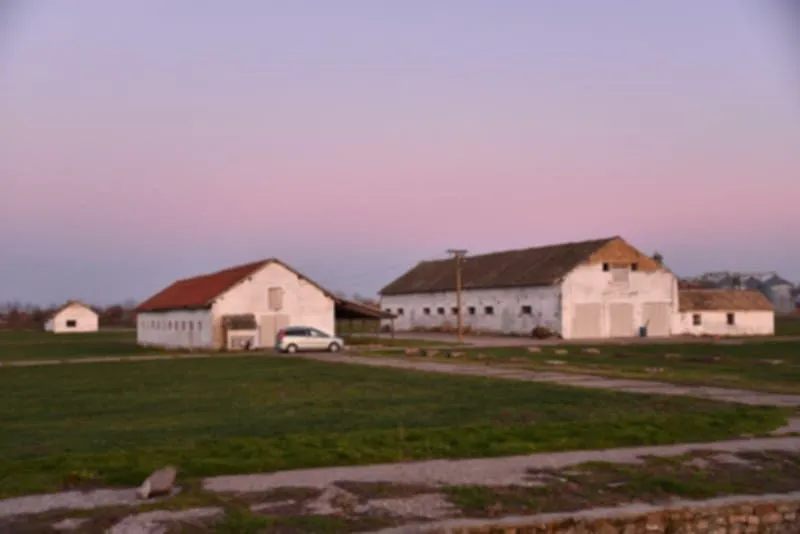 Prodaja, plac, 98000m², Vrbas, Novi Sad