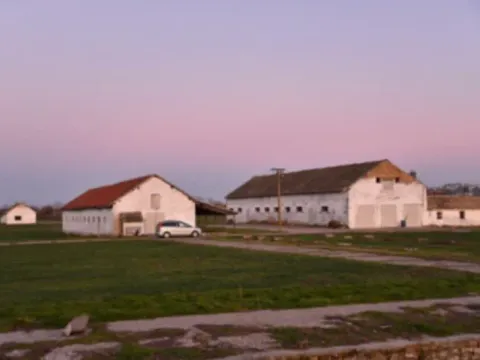 Prodaja, plac, 98000m², Vrbas, Novi Sad - image 9