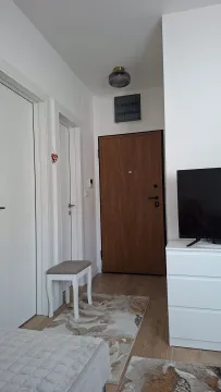 Prodaja, jednosoban stan, 31m², Dobrota, Kotor - image 6