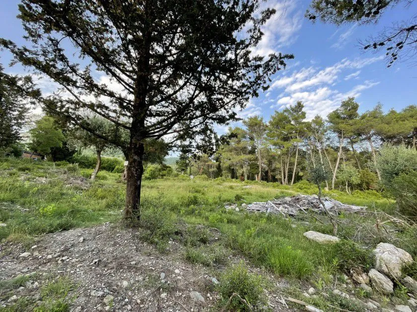 Prodaja, plac, 1353m², Herceg Novi, Crna Gora