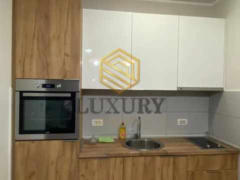 Rent, one bedroom apartment, 43m², Zabjelo, Podgorica - image 4