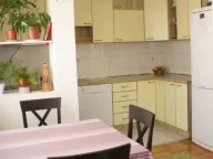 Izdavanje, jednosoban stan, 50m², Stari Aerodrom, Podgorica - image 4