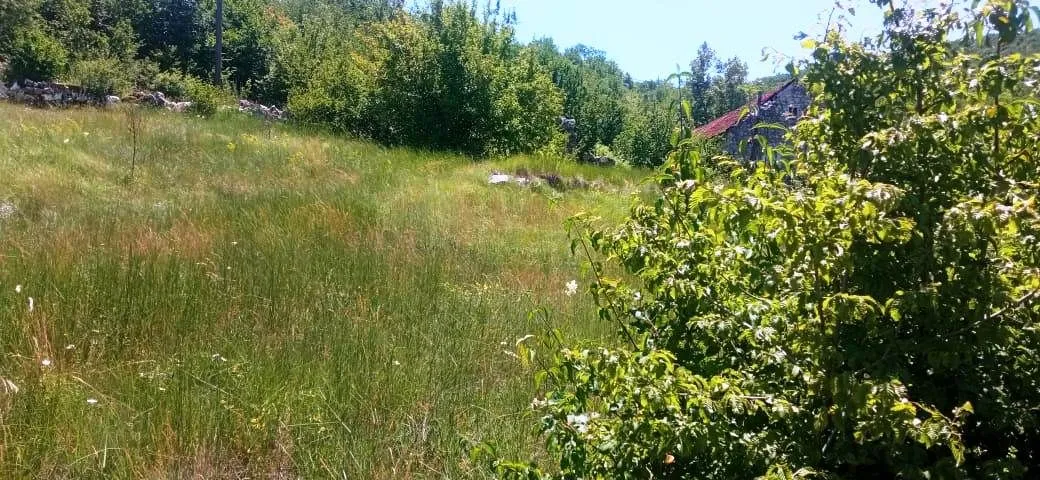 Prodaja, plac, 1500m², Ozrinići, Nikšić