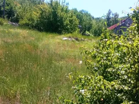 Prodaja, plac, 1500m², Ozrinići, Nikšić - image 7