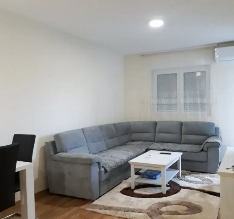 Izdavanje, jednosoban stan, 45m², Zagorič, Podgorica