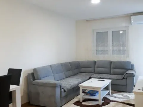 Izdavanje, jednosoban stan, 45m², Zagorič, Podgorica